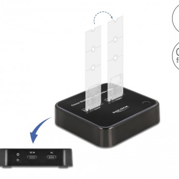 DeLock Docking Station για 2 Σκληρούς Δίσκους PCIe M.2(2230)