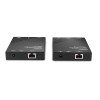 Lindy KVM & Data Switch 39381