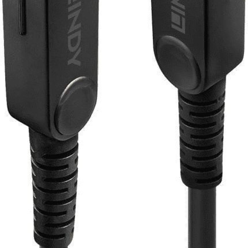Lindy Cable DVI-D male - Micro HDMI male 10m Μαύρο (38320)