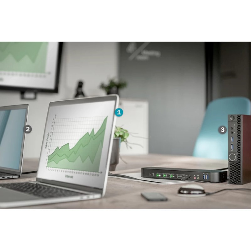 Digitus KVM & Data Switch DS-12890