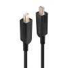 Lindy Cable DisplayPort male - DisplayPort male 10m Μαύρο (38480)