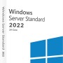 Microsoft Windows Server 2022 Standard 16 Core DSP Αγγλικά
