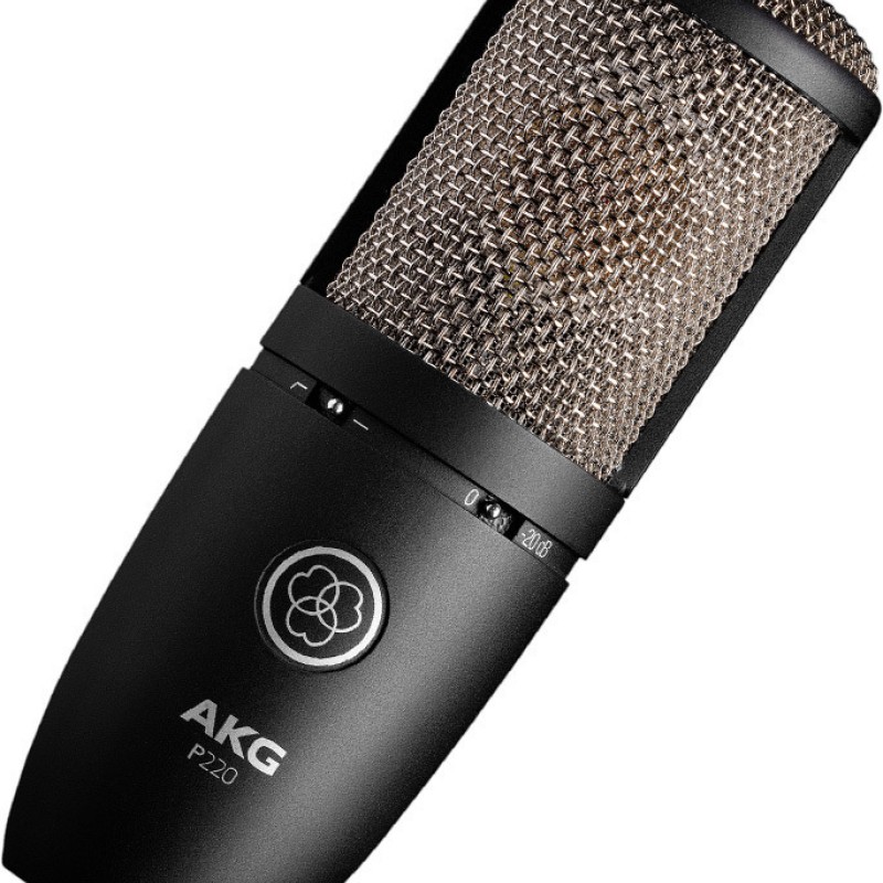 AKG Perception 220 Πυκνωτικό Μικρόφωνο XLR Shock Mounted για Φωνητικά
